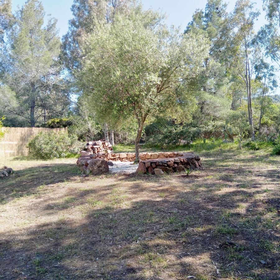 Galtellì Casa Di Campagna מראה חיצוני תמונה