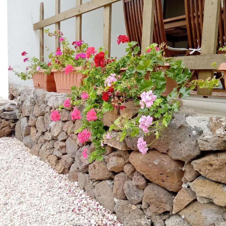 Galtellì Casa Di Campagna מראה חיצוני תמונה